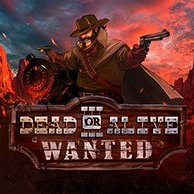 Dead Or Alive 3: Wanted